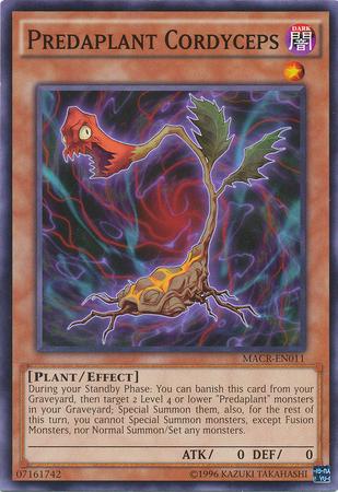 Predaplant Cordyceps