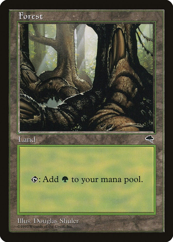 Forest (Pond)
