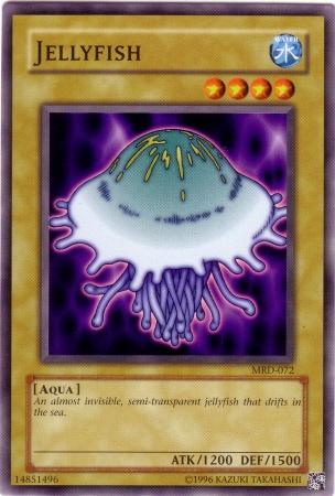 Jellyfish