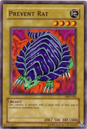 Prevent Rat