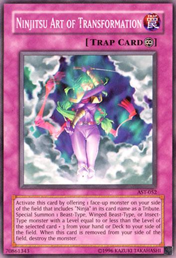 Ninjitsu Art of Transformation