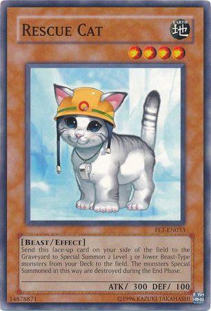 Rescue Cat