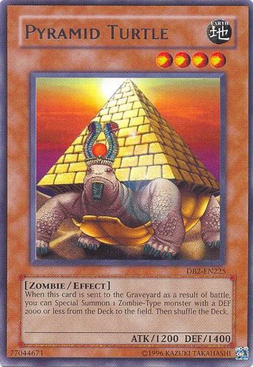 Pyramid Turtle