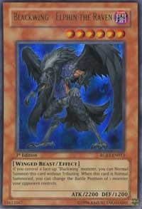 Blackwing - Elphin the Raven