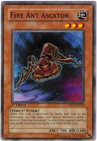 Fire Ant Ascator