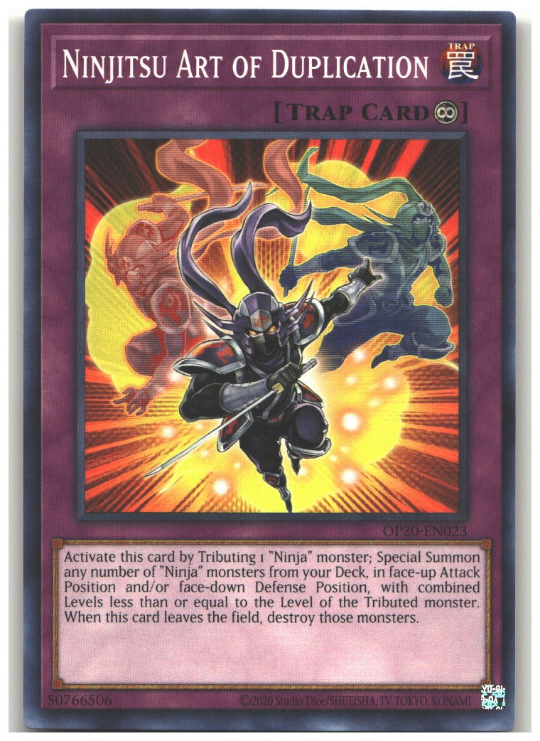 Ninjitsu Art of Duplication