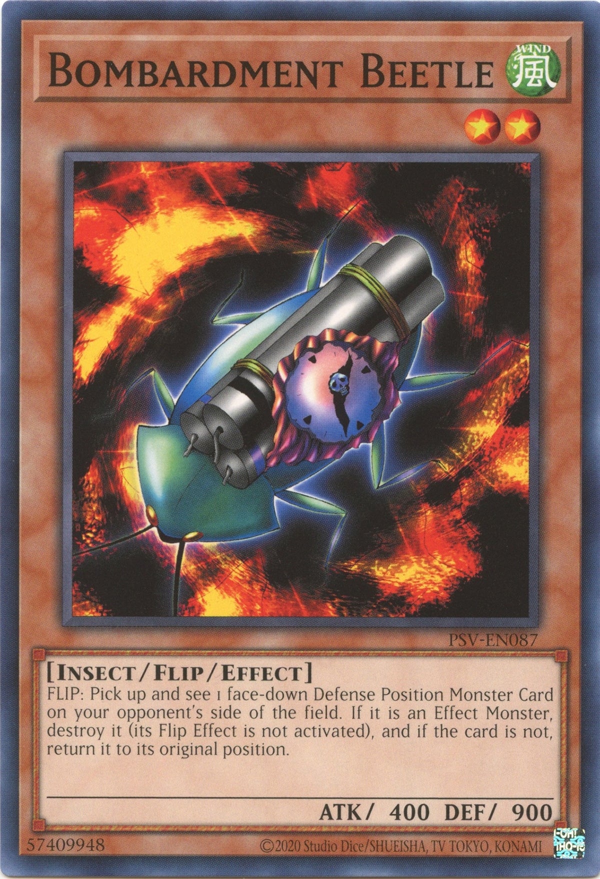 Bombardment Beetle