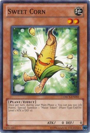 Sweet Corn
