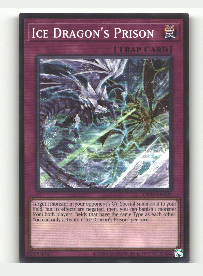Ice Dragon's Prison