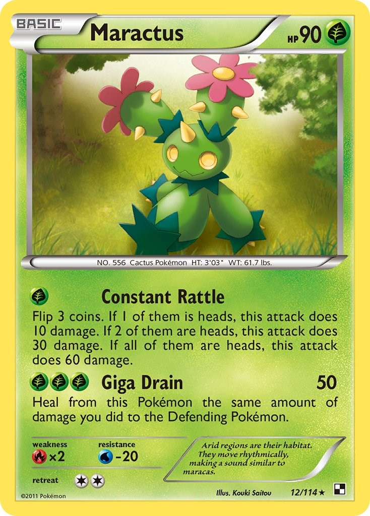 Maractus (12)