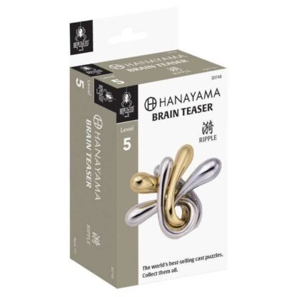 Hanayama Metal Puzzle